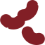 Nephrology & Dialysis